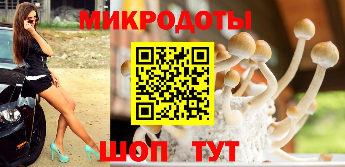Долгопрудный  Псилоцибиновые грибы мухоморы  Вход с VPN 