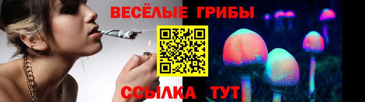 Псилоцибиновые грибы прущие грибы Долгопрудный